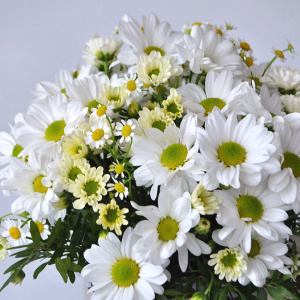 Полевой букет с ромашками в коробке