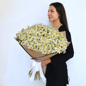 Охапка ромашек! Ромашки, 51 штучка букет с вазой