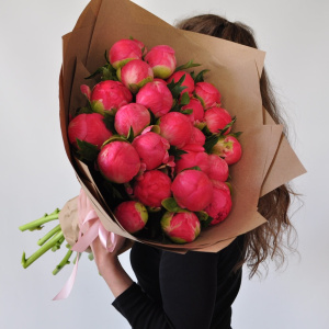 Вау! Коралловые пионы, 25 штучек