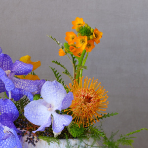 Орхидея Ванда в композиции в керамическом кашпо "Горячий бриз"