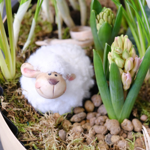 Садик с первоцветами: цикламен, крокусы, мускари, гиацинты "Пастораль"