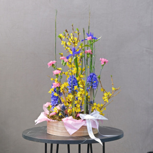 Гиацинты, ветки форзиции и ирисы в композиции в кашпо "Цветные сны"