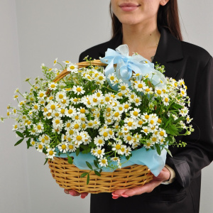 Привет, ромашки! Солнечная охапка ромашек в корзинке