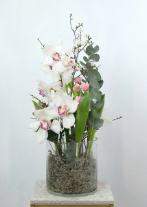 Белая орхидея цимбидиум в стеклянной вазе с эвкалиптом