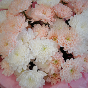 Нежные кустовые хризантемы в букете «Сахарная вата»