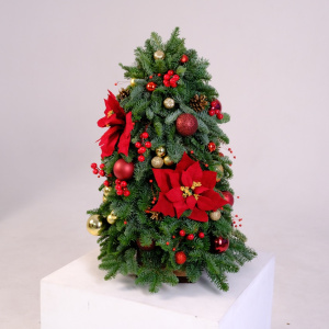Ёлка новогодняя из датской пихты, 65 см "Обыкновенное чудо"