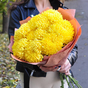 Хризантема желтая сортовая, 9 штучек