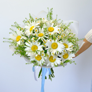 Охапка ромашек: ромашки в букете "Солнечное обаяние"