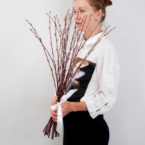 Верба - банч 