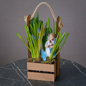 Мини сад с мускари нарциссами (луковичные) с сувениром в ящичке «Ангел Весны»