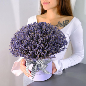 Лаванда в сиреневой коробочке