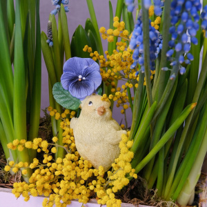 Цветущий садик в ящике: мускари, гиацинты и нарциссы с сувениром "Цыпочка"