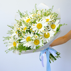 Охапка ромашек: ромашки в букете "Солнечное обаяние"