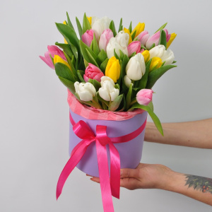 Тюльпаны в коробке, 25 штучек