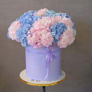 Гортензия, 21 штучка. Большой букет в коробке