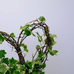 Плющ (Хедера) на каркасе "Сердце"