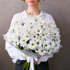 Хризантема ромашка, 15 штучек