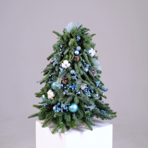 Ёлка новогодняя из датской пихты, 60 см "Frost Kiss"