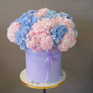 Гортензия, 21 штучка. Большой букет в коробке