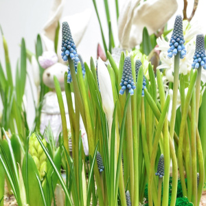 Садик с первоцветами: крокусы, тюльпаны, нарциссы и гиацинты "Зайчата"