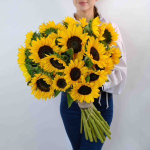 Яркие подсолнухи, 25 штук