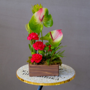 Антуриумы и гвоздики в интерьерной композиции в ящике