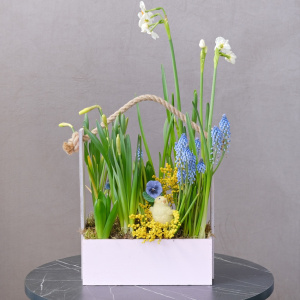 Цветущий садик в ящике: мускари, гиацинты и нарциссы с сувениром "Цыпочка"
