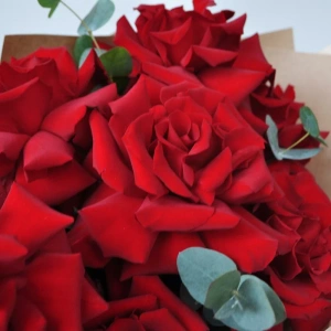 Новинка! Бархатные французские розы для любимой с эвкалиптом, 7 штучек
