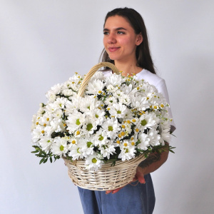 Хризантема и ромашки в корзине "Привет, ромашки"