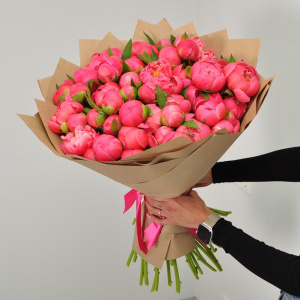 Коралловые пионы, 51 штучка