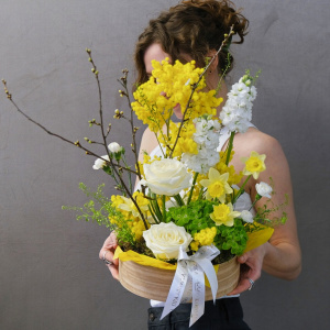 Нарциссы и мимоза в весенней композиции в кашпо "Золото весны"