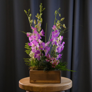 Орхидеи Дендробиум в сказочной композиции в ящичке