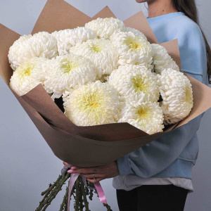 Хризантема сортовая крупная 15 штучек в крафте