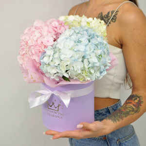 Пушистые гортензии в коробочке, 3 штучки