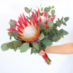 Букет для дерзкой невесты. Королевская протея и эвкалипт