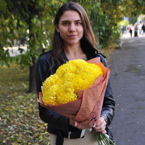 Хризантема желтая сортовая, 9 штучек