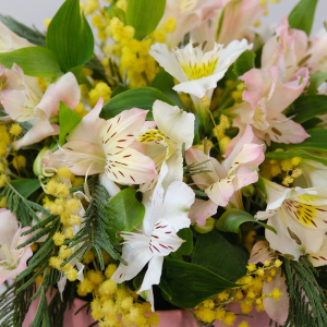 Альстромерия и мимоза в коробочке