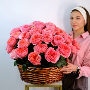 Пионовидные крупные розы в корзине, 51 штучка