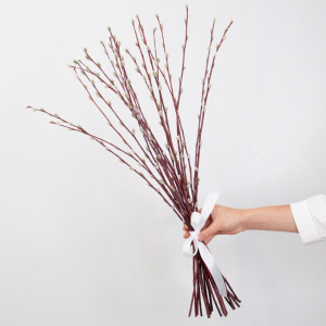 Верба - банч 