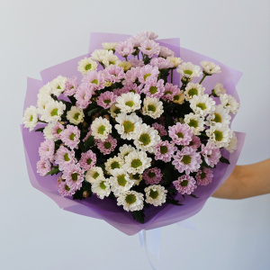 Ромашки Сантини, 11 штучек