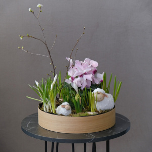 Садик с первоцветами: цикламен, крокусы, мускари, гиацинты "Пастораль"