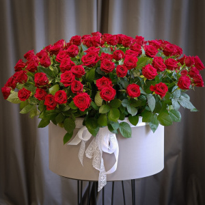 Букет гигант: красные ароматные розы в коробке, 151 штучка