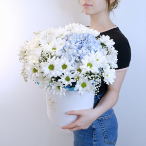 Голубая гортензия и хризантемы в коробочке "Мелодия нежности"