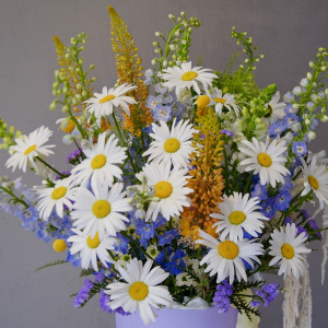 Ромашки и дельфиниум в большом букете в коробке "Моя бесконечность"