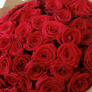 51 красная роза Россия, 60 см. Ваза в подарок!