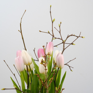 Тюльпаны  и форзиция в стеклянной вазе