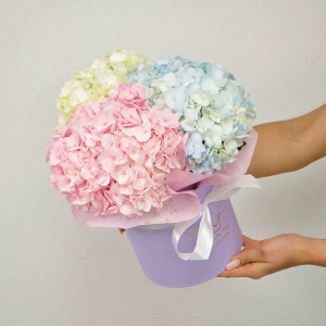 Пушистые гортензии в коробочке, 3 штучки