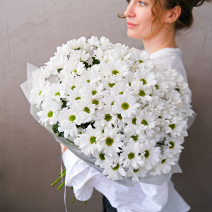 Хризантема ромашка, 15 штучек