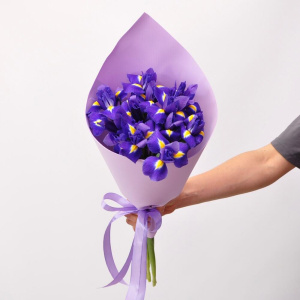 Невероятно яркие ирисы, 11 штучек