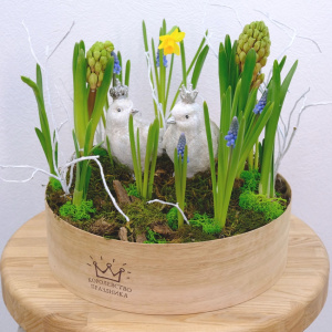 Садик с первоцветами: мускари и нарциссы в композиции "Ранние пташки"